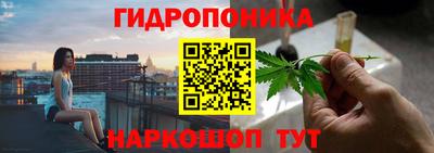 дурь Новодвинск