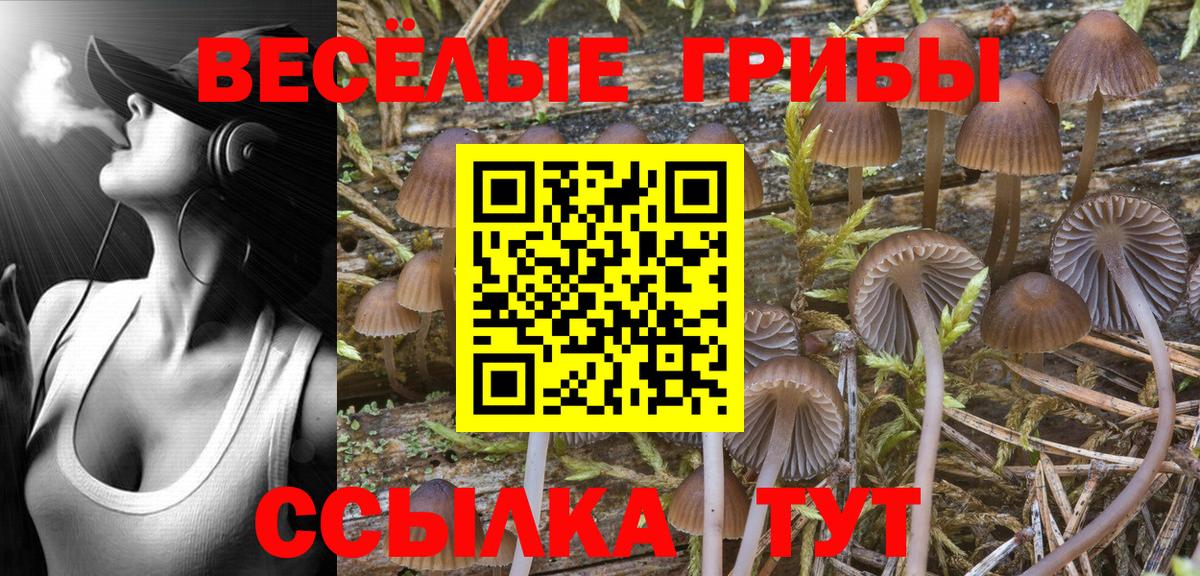 Шарыпово  Галлюциногенные грибы Psilocybe  Псилоцибиновые грибы Cubensis  Вход с VPN 